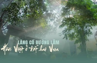 Làng cổ Đường Lâm: Hồn Việt ở đất hai Vua