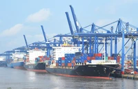 Ngành dịch vụ logistics nước ta đã có những bước phát triển khá mạnh mẽ trong những năm gần đây. Ảnh: Nguyễn Hùng
