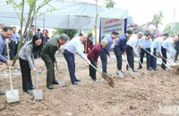 Các Đề án xây dựng nhà ở cho hộ nghèo, cận nghèo và người có công ở tỉnh Thái Bình đang được triển khai khẩn trương, quyết liệt.