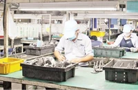 Doanh nghiệp sản xuất, kinh doanh hàng hóa xuất khẩu có nhu cầu vay vốn lớn. (Ảnh: THẾ ANH)
