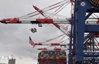 Tàu container cập cảng Long Beach ở California, Mỹ. (Ảnh: THX/TTXVN)