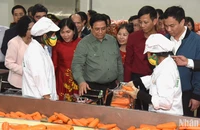 Thủ tướng Phạm Minh Chính thăm cơ sở sơ chế cà rốt của Hợp tác xã Dịch vụ nông nghiệp Đức Chính.