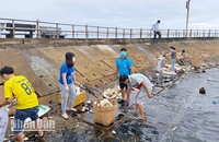 Lực lượng cán bộ, đảng viên và nhân dân tham gia thu gom rác ở thành phố Phú Quốc.