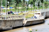 Hiện trường bờ kè sạt lở sau hơn 5 tháng đưa vào sử dụng.
