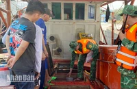 Lực lượng Bộ đội Biên phòng kiểm tra tàu cá.