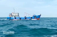 Tàu cá mang số hiệu BV 99889 TS chở khoảng 100.000 lít dầu DO không có giấy tờ chứng minh nguồn gốc hợp pháp của hàng hóa.