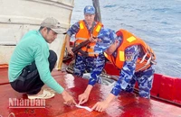 Lực lượng chức năng Bộ Tư lệnh Vùng Cảnh sát biển 4 niêm phong hàng hóa vi phạm.