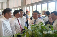 Phó Thủ tướng Chính phủ Lê Thành Long cùng lãnh đạo tỉnh Quảng Nam tham quan gian hàng sâm Ngọc Linh trưng bày tại hội nghị.