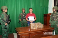 Đối tượng T.N.T (quốc tịch Việt Nam) bị Bộ đội Biên phòng tỉnh Quảng Nam bắt giữ cùng tang vật.