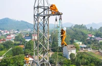 Kiểm tra vận hành đường dây truyền tải điện.