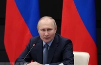 Tổng thống Nga Vladimir Putin. (Ảnh: AFP/TTXVN)