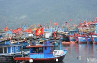 Công tác phối hợp giữa các địa phương để theo dõi, giám sát hoạt động tàu cá, chống khai thác IUU là rất cần thiết. (Ảnh: ANH ĐÀO)