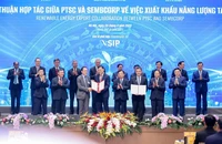 Điện gió ngoài khơi - Động lực mới cho ngành dầu khí Việt Nam phát triển bền vững