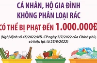 Cá nhân, hộ gia đình không phân loại rác có thể bị phạt đến 1 triệu đồng