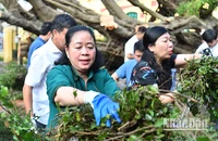Bí thư Thành ủy Hà Nội Bùi Thị Minh Hoài và lãnh đạo thành phố tham gia vệ sinh môi trường cùng người dân tại khu vực phố Trần Hưng Đạo - Bà Triệu.