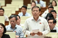Đại biểu Nguyễn Thanh Sang (Đoàn Thành phố Hồ Chí Minh) phát biểu tại hội trường. (Ảnh: BÙI GIANG)
