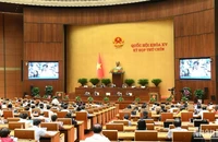Quốc hội thảo luận ở hội trường. (Ảnh: DUY LINH)