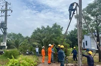 Ngành điện tỉnh Bến Tre nỗ lực đưa lưới điện về vùng sâu, vùng xa.