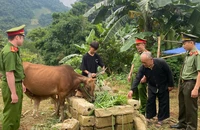 Người có uy tín ở Sơn La thường xuyên phối hợp các lực lượng tuyên truyền, vận động người dân phát triển kinh tế.