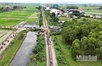 Hiện trường vụ va chạm.