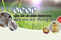 OCOP nâng tầm sản phẩm nhung hươu miền sơn cước Hương Sơn