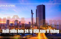 Việt Nam xuất siêu hơn 24 tỷ USD sau 11 tháng