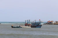 Lực lượng chức năng tìm kiếm ngư dân mất tích. (Ảnh: CTV)