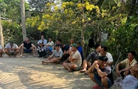 Tụ điểm đá gà ăn thua bằng tiền được cơ quan công an triệt xóa.