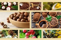 Hướng đến mục tiêu 10.000 sản phẩm OCOP năm 2025