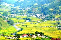 Thời điểm này, Sa Pa được du khách yêu mến gọi bằng cái tên “Mùa vàng” bởi màu nắng thu dịu ngọt, màu lúa chín phủ khắp những thửa ruộng bậc thang ở thung lũng Mường Hoa đẹp như bức tranh.