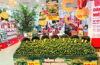 Cam sành Vĩnh Long chất lượng được giới thiệu bắt mắt tại siêu thị GO!.