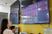 Ảnh minh họa: TTXVN