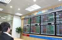 (Ảnh minh họa: TTXVN)