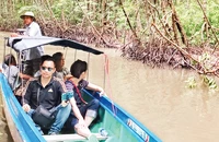 Khách du lịch tham quan rừng ngập mặn Cà Mau. (Ảnh LAN ANH)