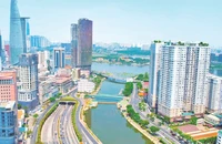 Một số dự án nhà ở tại trung tâm Thành phố Hồ Chí Minh. (ảnh CT)