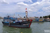 Tàu cá từ 15m trở lên phải có hệ thống giám sát hành trình hoạt động ổn định trước khi xuất bến.