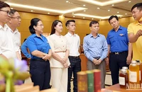 Thanh niên chủ các dự án khởi nghiệp tại Cuộc thi thuyết trình, giới thiệu ý tưởng, sản phẩm trước Ban giám khảo, Ban tổ chức.