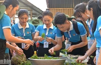 Ca sĩ Ngô Lan Hương (thứ 3 từ trái sang) và các đại biểu Hành trình chuẩn bị "Bữa ăn cho em".