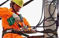 Trong nắng nóng, công nhân Điện lực Hải Phòng vẫn tập trung nâng cấp, khắc phục sự cố lưới điện bảo đảm cung cấp điện ổn định, an toàn cho người dân, doanh nghiệp.