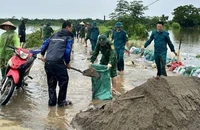 Lực lượng chức năng huyện Chương Mỹ khắc phục sự cố tràn đê.
