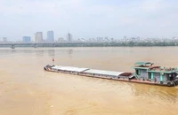 Mực nước sông Hồng dâng cao.
