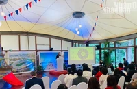 Hội thảo “Hướng tới dinh dưỡng cho tăng trưởng (N4G): Nghiên cứu điển hình về môi trường thực phẩm học đường, dinh dưỡng và sức khỏe vị thành niên tại Việt Nam” diễn ra tại Hà Nội sáng 19/3. (Ảnh: Kiều Giang)