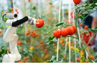 Robot hái trái cây, kết quả từ đề tài khoa học-công nghệ của Trường đại học Công nghệ - Đại học Quốc gia Hà Nội.