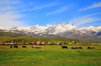 Khung cảnh bình yên chung quanh núi Aragats. (Ảnh: Alexander Mkhitaryan B)