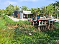 Kênh rạch vùng ngọt huyện Trần Văn Thời (tỉnh Cà Mau) khô cạn nước vì hạn hán.