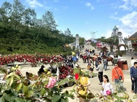 Nhiều du khách đến Sa Pa vào dịp nghỉ lễ.