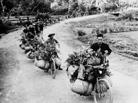 Binh chủng vận tải đặc biệt bằng xe đạp thồ trong chiến dịch Điện Biên Phủ. Ảnh: TTXVN 