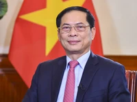 Bộ trưởng Ngoại giao Bùi Thanh Sơn. (Ảnh: Bộ Ngoại giao) 