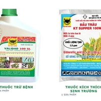 Thuốc bảo vệ thực vật Đầu Trâu