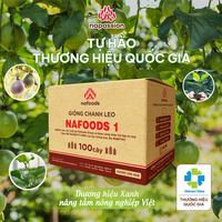 Cây giống chanh leo Nafoods 